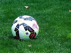 久尔杰维奇,谈熊猫杯遗,亚洲杯展望,星空体育官网,星空体育下载,星空体育直播,星空体育平台,星空体育入口